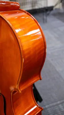 Eastman Strings - VC100 1/4 Cello Outfit 2